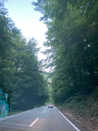 A car is traveling on a paved road through a dense forest. The road is asphalt and has white lane markings. The trees on either side of the road are tall and green, creating a canopy overhead. The sky is visible through the trees. The car is white and is in the distance, driving away from the camera. The scene appears to be in the vicinity of Šavnik, Montenegro, based on the visual characteristics of the road and forest.