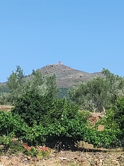 The image depicts a landscape scene with a clear blue sky dominating the upper portion. In the middle ground, a barren, rocky hill rises, topped by the remains of a stone structure, possibly a small tower or fortification. The lower part of the image is filled with lush green vegetation, including trees with gnarled branches and dense foliage, suggestive of an orchard or olive grove. Some smaller plants with reddish-pink flowers are visible at the base of the vegetation. The foreground consists of dry, stony ground with scattered rocks and dry grasses. The overall impression is of a rural, possibly Mediterranean, setting. The presence of a castle-like structure on the hill could indicate historical significance. No people are visible in the image. The scene appears to be an outdoor environment on a sunny day. The location in the city of Cadalso, Spain is not directly discernible from the visual elements alone, but such a landscape is consistent with hilly, rural regions of Spain.