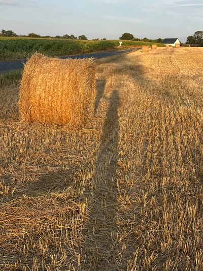 The image depicts a rural landscape bathed in the warm light of a setting sun. A large, round bale of golden hay sits prominently in the foreground on a field of stubble. To the left of the hay bale, a long, distinct shadow of a person holding a camera is cast across the field, indicating the photographer's presence. In the background, a paved road curves through fields, separating a lush green crop from the harvested golden field. Further in the distance, several more hay bales are scattered across the landscape. A white building with a dark roof, possibly a house or farm structure, is visible on the right side of the image. The sky above is a soft blue with wispy clouds. The scene is consistent with agricultural land in the commune of Trouville-Alliquerville, France, likely during harvest season.