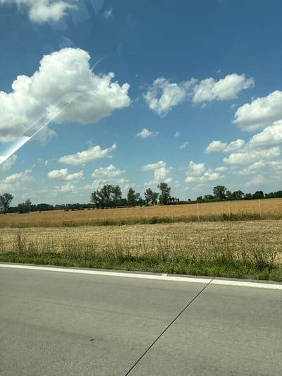 The image shows a vast, sunlit field of dry, golden crops, likely wheat or barley, in the countryside near Kostomłoty, Poland. A thin, white line separates the field from a grassy verge, which in turn borders a paved road visible in the foreground. The road surface is grey asphalt with a white line running down its center. The sky above is a vibrant blue, dotted with fluffy white cumulus clouds, some of which cast faint shadows. A row of scattered trees, predominantly deciduous with full green canopies, forms a distant treeline across the horizon. A thin, pale fence runs along the edge of the field, separating it from the verge. The scene is peaceful and rural, with no people or animals visible. The overall impression is one of a bright, summer day.