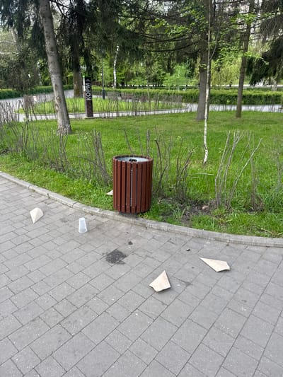 The image shows a sidewalk in Akhieli, Georgia, next to a grassy area with trees. There is a wooden trash can near the edge of the sidewalk. On the sidewalk, there are three pieces of paper and a clear plastic cup. The sidewalk is made of gray paving stones.