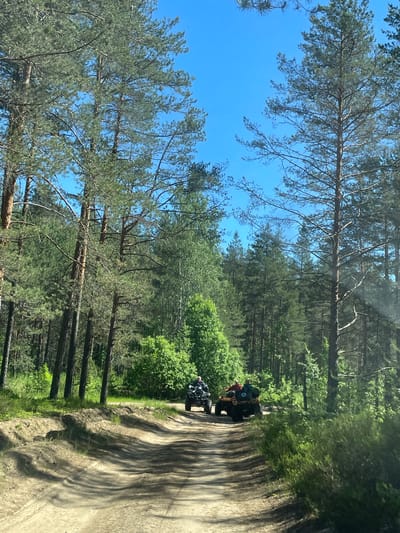 A dirt road winds through a pine forest in Il'ichevo, Russia. Two ATVs are traveling on the road. The ATV in front is black and has a rider wearing a blue shirt and a helmet. The ATV behind it is yellow and has two riders, one wearing a red shirt and a helmet, and the other wearing a blue shirt and a helmet. The sun is shining through the trees, casting shadows on the road. The sky is clear and blue.