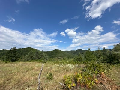 The image depicts a natural landscape under a bright blue sky with scattered white clouds. In the foreground, a dry, grassy field stretches out, interspersed with some low-lying green and brown vegetation, including ferns. A weathered wooden post with barbed wire is visible in the lower left quadrant, suggesting a boundary or fence. Beyond the field, rolling hills covered in dense green forest dominate the midground and background. The trees are predominantly coniferous and deciduous, creating a textured, verdant expanse. The overall scene conveys a sense of rural tranquility and natural beauty. The location is identified as the city of Kremen, Bulgaria.