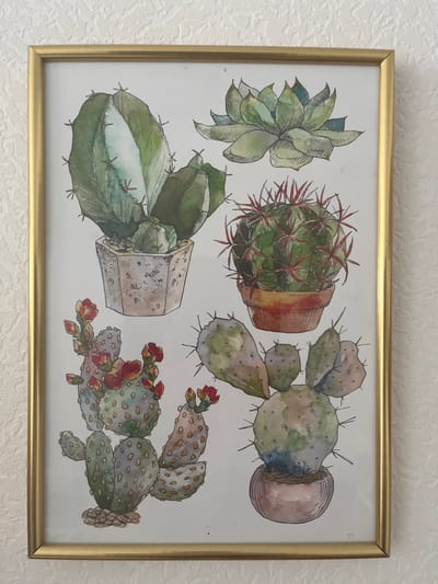 A framed watercolor painting of various cacti and succulents hangs on a textured white wall. The painting is framed with a thin, gold-colored frame. The artwork itself depicts five distinct potted plants:
In the upper left, a large, ribbed cactus with green and white sections stands in a hexagonal concrete pot.
Above and to the right of this, a succulent with layered, pale green leaves is shown.
In the middle right, a round, green cactus with prominent red spines sits in a terracotta pot.
Below the succulent and to the left of the round cactus, a prickly pear cactus is illustrated, adorned with several small, red flowers and buds.
In the bottom right, another prickly pear cactus, this one rounder and with more subtle coloring, is planted in a small, pinkish pot.
The background of the painting is white, and the artwork is positioned on a wall with a raised, stucco-like texture. The image does not depict any people, actions, or interactions. The location is described as being in the city of Bugry, Russia, though no visual cues within the image itself support this specific location.