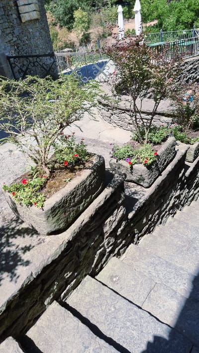 The image captures a sun-drenched outdoor scene in the historic town of Rupit i Pruit, Spain, characterized by its stone architecture and lush greenery. In the foreground, a set of rough-hewn stone stairs descends, partially shaded by the dappled light filtering through unseen foliage. Flanking the stairs, and situated on a stone ledge, are two large, rectangular stone planters. The planter on the left holds a small, leafy green shrub with scattered small red flowers. The planter to its right contains a similar shrub, also with red flowers, alongside delicate purple blooms. Behind these planters, a second, larger shrub with reddish-purple leaves is visible, along with a glimpse of white umbrellas and a metal railing in the background, suggesting an outdoor seating area or viewpoint. The stone walls and pathways are prominent throughout the image, emphasizing the rustic and ancient feel of the location. The overall impression is one of a tranquil, sunlit Mediterranean garden setting within a historic village.