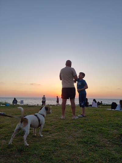 The image depicts an outdoor scene at sunset in Palmachim, Israel. In the foreground, a medium-sized dog with white and brown markings stands facing left, looking towards the ocean. The dog is wearing a harness. In the midground, a man and a boy are standing and facing each other, appearing to be in conversation. The man is bald and wearing a light-colored t-shirt and dark shorts, while the boy is wearing a blue t-shirt and blue shorts. Behind them, other people are seated on blankets on the grass, facing the ocean and the setting sun, which is a bright orange ball on the horizon. The sea stretches out to meet the sky, which transitions from a soft orange near the horizon to a pale blue overhead. The foreground is covered in green grass, with a few small plants and a black leash visible near the dog. The overall atmosphere is peaceful, with people enjoying the view of the sunset over the Mediterranean Sea.