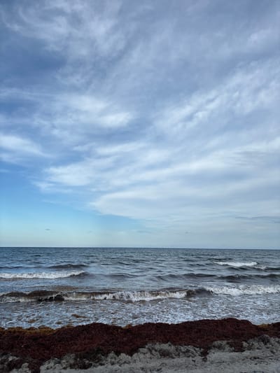 The image shows a beach scene with the ocean and sky. The sky is filled with scattered clouds, creating a textured pattern against the blue. The ocean water is dark and choppy, with waves breaking on the shore. A significant amount of dark red seaweed is washed up on the sand in the foreground, with some lighter sand visible. The scene appears to be a natural coastal environment. The image does not show any people or buildings. Without further information, it is not possible to definitively identify the specific location within Delray Beach, United States of America.