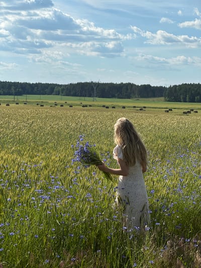 A blonde-haired individual wearing a white dress with a floral pattern stands in a field of grain and blue cornflowers, holding a bouquet of blue flowers. The individual is facing away from the camera, towards the right side of the frame. In the background, there is a dense forest line, and beyond that, a cloudy sky. Scattered throughout the field are several round bales of hay. The overall scene appears to be rural, with an indication of agricultural activity. The location is identified as Парыцкі сельскі Савет, Belarus.