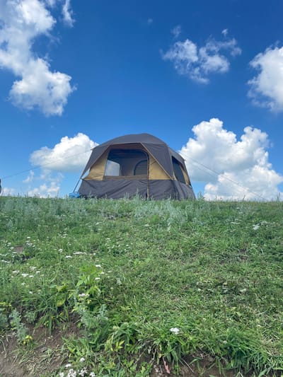 A dark brown and tan tent is pitched on a grassy hillside under a bright blue sky with scattered white clouds. The tent has a large mesh window visible on its side and is supported by guy ropes. The hillside is covered in green grass and small white wildflowers. The scene is peaceful and appears to be a natural outdoor setting. This image was taken in Tumutuk, Russia.