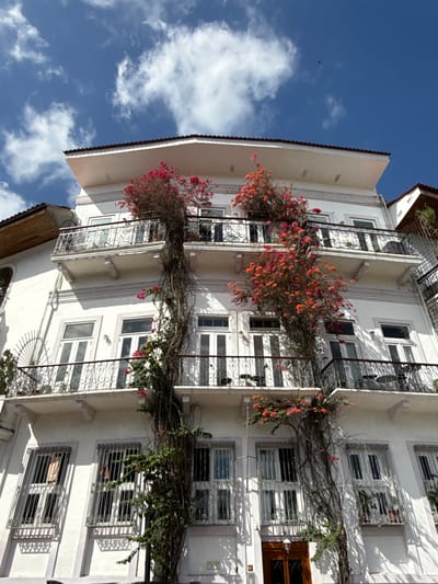 An exterior, low-angle photograph captures a multi-story white building in Panama City, Panama, under a partly cloudy blue sky. The structure features multiple levels of balconies with ornate black wrought-iron railings. Thick, woody vines with clusters of vibrant pink and orange flowers, resembling bougainvillea, climb the facade, spanning from the lower levels up to the top stories and overhanging the balconies. Several balconies on the upper and mid-levels contain small black tables and chairs. The building's windows consist of multi-pane glass, with some on the upper floors appearing as French doors leading to balconies, and lower-level windows secured by white horizontal grilles. A brown tiled roof is visible at the building's apex, with a similar roofline of an adjacent structure visible on the left. A dark, small speck, possibly a bird, is visible in the upper right sky. No individuals are present in the scene.
