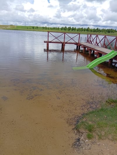 The image shows a body of water with a wooden pier extending into it. A green slide is partially submerged in the water, extending from the pier. The water is shallow near the shore, revealing a sandy bottom with some debris. The shoreline is covered in grass. In the background, there is a line of trees and a cloudy sky. The scene is located at the Šaukėnai pond in Šaukėnai, Lithuania. There are no people visible in the image.