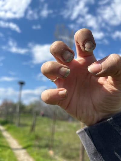 The image shows a close-up view of a dirt-covered hand against a blurred background. The hand is open, with fingers slightly curved and dirty fingernails. A ring is visible on one finger. The background features a blue sky with white clouds. A blurred landscape with trees and a path can be seen behind the hand. The location, Pishtigovo, Bulgaria, cannot be confirmed from the image alone.