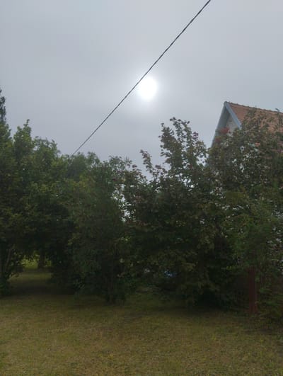The image depicts an outdoor scene with overcast skies and the sun faintly visible through the haze. A power line stretches diagonally across the sky from the upper left to the upper right. In the background, a portion of a building with a red tiled roof is visible, partly obscured by trees. The foreground consists of a grassy area with some trees and bushes, including some with red foliage, lining the edge of the lawn. A fence can be seen on the right side of the image. The environment appears to be a residential area or a park.
