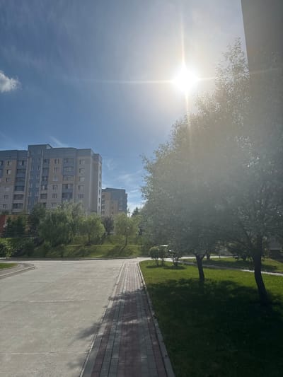The image depicts a residential area in Koltsovo, Russia, on a bright, sunny day. In the foreground, a paved walkway made of red and gray bricks runs alongside a concrete area. To the right of the walkway is a well-maintained lawn with several trees, one of which is large and casts a shadow. In the mid-ground, there are more trees and bushes, and further back, two apartment buildings are visible. The larger building on the left is multi-story with a light blue and gray facade. The smaller building to its right has a similar architectural style with yellow and blue accents. The sky is clear blue with a few wispy clouds, and the sun is shining brightly, creating a lens flare in the upper right portion of the image. There are no people or vehicles immediately visible in the scene.