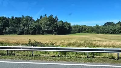The image captures a roadside view of a rural landscape under a clear blue sky. In the foreground, a grey metal guardrail runs horizontally across the frame, supported by vertical posts. Adjacent to the guardrail is a strip of green grass with some scattered weeds. Beyond this, a field of dry, light brown grass stretches towards a dense line of green trees that forms the backdrop. The trees are varied in height and type, creating a textured silhouette against the bright sky. The field appears to be agricultural land, possibly a harvested crop. The overall impression is one of a sunny, open expanse on the outskirts of a populated area. This scene could be located in the vicinity of Ramstein-Miesenbach, Germany, given the typical landscape often found in the region surrounding the U.S. Air Force base.