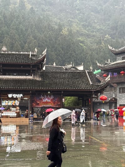 The image captures a rainy daytime scene in Pengshui Miao and Tujia Autonomous County, China, characterized by traditional Chinese architecture and a mountainous backdrop. The ground is uniformly wet and reflective, indicating ongoing rainfall.
In the foreground, a woman with dark hair, wearing a dark, possibly black, knee-length coat, walks from left to right across the frame. She carries a clear, dome-shaped umbrella overhead and a black shoulder bag on her left side. Her gaze is directed slightly to her right.
The middle ground features numerous other individuals, most of whom are either holding umbrellas of various colors (red, white, clear, dark) or wearing light-colored rain ponchos (pink, white) as they walk across the wet pavement. Their reflections are visible on the ground.
The background is dominated by a range of green, forested mountains shrouded in a light mist. Architectural elements include several multi-story buildings with dark, tiled, curved traditional Chinese roofs featuring ornate finials. A prominent archway or gate structure stands centrally, beneath which a large red and orange banner is displayed. The banner features Chinese characters "山海龙缘" (Shānhǎi Lóngyuán) and the text "2026年2月13日隆重上演" (Grandly staged on February 13, 2026). To the left of this archway, a commercial storefront with brightly lit food displays is visible. Red spherical lanterns hang from the eaves of a building on the right side of the frame.