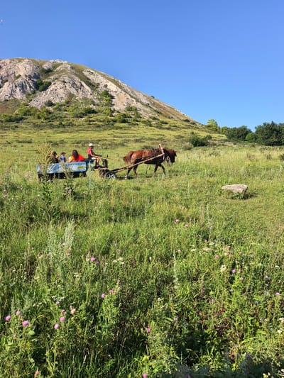 An outdoor, eye-level, medium shot captures a horse-drawn carriage on a grassy slope under a clear blue sky. The carriage, pulled by a brown horse, carries at least four individuals. A person in a pink shirt and white cap drives the carriage. The terrain is characterized by a sloping hill with sparse vegetation on the left, transitioning to a field filled with tall grass and wildflowers in the foreground. In the background, a rocky mountain looms, with trees dotting the lower slopes. The scene appears to be in the city of Shikhan, Russia.