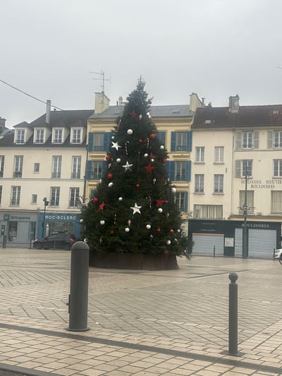This image displays the Place du Marché in Saint-Germain-en-Laye, France, under an overcast sky. A large, green conical Christmas tree occupies the central area of a paved square. The tree is decorated with red and white spherical ornaments, red and white star-shaped ornaments, and red and white candy cane-shaped ornaments. A circular, brown, wood-textured enclosure surrounds the base of the tree.
In the background, a row of multi-story buildings lines the square. On the left, a light-colored building features the ground-floor businesses "Groupama" (visible green sign) and "ROC-ECLERC" (visible blue sign), with a dark-colored vehicle, possibly a hatchback, parked in front of ROC-ECLERC. Adjacent to this is a building with a yellow facade and multiple windows fitted with blue shutters. An antenna is mounted on its roof. To the right, another light-colored building houses "JOAILLERIE HORLOGERIE" and "HORLOGERIE BIJOUTERIE BOULDOIRE" on its ground floor, both secured by closed, corrugated metal roller shutters.
The foreground is a public square paved with grey rectangular blocks arranged in a pattern. Two dark grey cylindrical bollards with rounded tops are positioned in the lower-center and lower-right portions of the frame. A metal drainage grate is visible embedded in the paving near the bottom. No people are present in the scene. The sky is uniformly grey, indicating an absence of direct sunlight.
