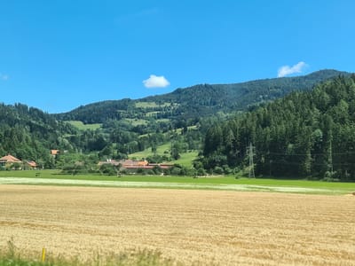 The image captures a rural landscape in Friesach, Austria, under a clear blue sky with a single white cloud. In the foreground, a vast field of ripe, golden wheat stretches across the frame. Beyond the wheat field lies a strip of vibrant green grass, dotted with small white flowers. Further in the background, a collection of buildings with reddish-brown roofs forms a small settlement nestled amongst lush green trees. A prominent electrical pylon stands to the right of the settlement, integrated into the dense forest that blankets the rolling hills. The hills themselves are covered with a mix of dark green coniferous trees and lighter green grassy slopes, indicating a temperate climate. The scene conveys a sense of peace and natural beauty typical of the Austrian countryside.