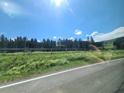 A highway guardrail runs horizontally across the mid-ground, separating a dense forest of tall, dark green coniferous trees from a lush green grassy embankment. The grassy embankment slopes upwards towards the guardrail and appears to have a mix of wildflowers or seed heads interspersed with the grass. A paved road with a white line marking the edge is visible in the foreground, occupying the lower right quadrant of the image. The sky above is a bright, clear blue with a few wispy white clouds. The sun is shining brightly, creating a lens flare effect in the upper center of the sky. The scene suggests a rural or mountainous location, possibly along a scenic route. The image appears to be taken from a moving vehicle due to the slight blur and perspective. The location is identified as Sankt Marein bei Neumarkt, Austria.