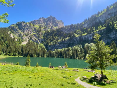 The image depicts a scenic view of a turquoise lake nestled amidst mountains and a dense forest, with a grassy meadow in the foreground. The location is likely the lake of the Brienz, as suggested by the query. Several small groups of people are visible enjoying the day by the lake. Some are sitting on the grass, while others are standing near the water. There are also a few picnic tables and benches scattered across the meadow, some occupied by people. A gravel path winds through the grass, leading towards the lake. The mountains are steep and rocky, with trees growing on their slopes. The sky is clear and blue, with the sun shining brightly. The overall scene is one of tranquility and natural beauty, suggesting a popular spot for outdoor recreation.