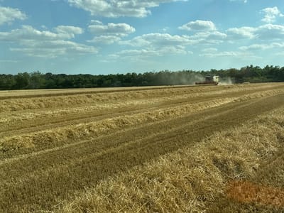 A wide-angle view captures a combine harvester in operation within a golden wheat field, likely near the city of Pobeda, Bulgaria. The sky above is a vibrant blue, dotted with fluffy white clouds. The field is freshly harvested, with rows of stubble and straw clearly defined. The combine, a large agricultural machine, is actively cutting and processing the wheat, emitting a faint trail of dust into the air. In the distance, a dense line of green trees borders the field, creating a contrast with the sun-baked earth. The overall scene depicts a typical agricultural landscape during harvest season.
