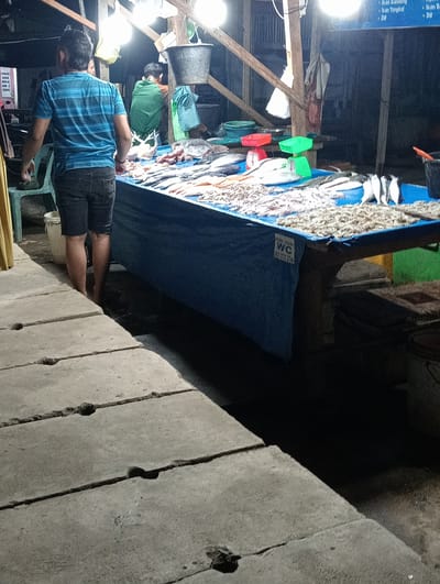 This media file captures a night scene at a fish market in Pulorayeuk, Indonesia. The primary subjects are three individuals. In the foreground, a man wearing a blue and black striped t-shirt and denim shorts stands facing away from the camera, his back to the viewer. He is barefoot. To his right, a stall is laden with a variety of fresh fish, displayed on a blue tarp. Behind the stall, two other individuals are visible, one wearing a green shirt and the other a lighter colored shirt, possibly attending to the market.
The setting is an outdoor market under artificial lighting, suggested by the bright bulbs illuminating the stall area. Various objects are present, including red and green weighing scales, buckets, and what appears to be raw fish and seafood on display. A portion of a sign with Indonesian text is visible, reading "PONSEL BUKA MULAL... TIANG". Another visible sign indicates "MORIL SEDOT WC 081-3737-3744". The overall atmosphere appears to be that of a busy, late-night or early-morning market operation. The ground in the foreground is paved with large concrete slabs. The time of day is clearly night, indicated by the dark background and the artificial lighting.