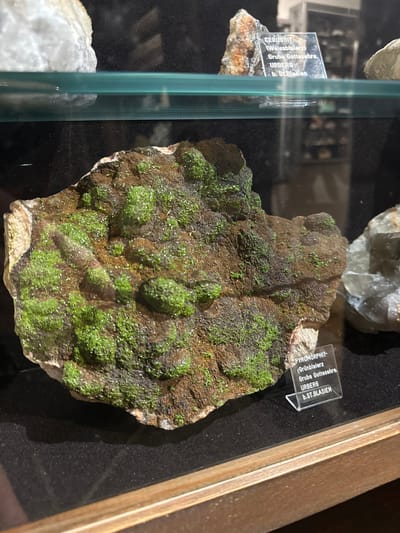 The image displays a mineral specimen in a display case. The specimen is a piece of dark brown rock with clusters of bright green, crystalline formations covering its surface. A small, clear plastic label is placed in front of the specimen, with text written in German. The label reads "PYROMORPHIT- (Grünbleierz) Grube Gottesere URBERG b. St. Blasien". The display case appears to be in a museum or a collection. There are no people or actions depicted in the image. The overall scene is static and observational. The location mentioned on the label, "b. St. Blasien", refers to a locality near the town of Sankt Blasien, which is within the region of Schonach im Schwarzwald, Germany.