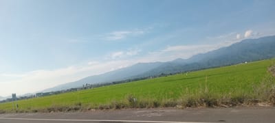 The image shows a rural landscape in Uleeue, Indonesia, on a clear day with a blue sky. A vast, bright green rice field stretches across the middle ground, ascending diagonally from left to right. In the background, a mountain range is visible, its peaks covered with varying degrees of forestation. Some buildings are visible on the field on the edge between the fields and the mountain background. In the foreground, there's an asphalt road with a shoulder covered in grass and weeds. The photograph appears to have been taken from a moving vehicle.