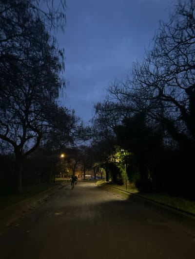 The image displays a paved outdoor path at dusk or night in Haguenau, France. The sky overhead is a dark blue-grey with visible cloud cover. Bare deciduous trees with dark branches line both sides of the path, indicating a late autumn or winter season. Two individuals are observed riding bicycles away from the viewer in the mid-ground, their forms largely silhouetted.
The foreground of the path is illuminated by a broad, trapezoidal beam of white light, suggesting a light source originating from the camera's position. Further down the path on the left, an active street lamp emits an orange glow. On the right side of the path, a bright yellow light illuminates a section of dense foliage. Grass verges are present along the edges of the path. In the far distance, beyond the cyclists, additional ambient lights and outlines of parked vehicles are faintly discernible.