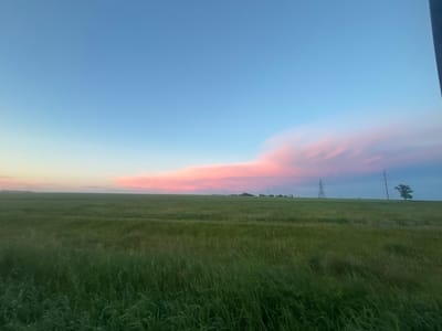 This is a horizontal, medium-distance, outdoor, landscape photograph taken during the day. The foreground is dominated by a field of tall, green grass. In the midground, the field stretches to the horizon, appearing somewhat flat. Two large, modern power line towers are visible on the right side of the image, one taller and closer than the other. A single, dark green tree stands to the right of the closer power line tower. In the distance, along the horizon, there are some faint structures and trees. The sky is a gradient of light blue, transitioning to pink and purple hues near the horizon, suggesting either sunrise or sunset. The overall impression is one of a rural or open countryside environment. The location is identified as Severnaya, Russia.