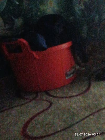 The image shows a red plastic bucket with black accents, possibly a part of a washing machine or a similar appliance, with a dark, blurry background. A red cord is visible in the foreground, looping around the object. The scene appears to be indoors, given the lighting and the presence of what seems to be a textured floor. A timestamp in the bottom right corner reads "26.07.2026 03:24". The image quality is poor, with significant noise and low resolution, making it difficult to discern finer details of the object or its surroundings. No specific location in Oblivskaya, Russia, can be identified from the visual information provided.