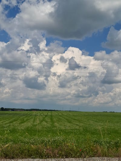 The image depicts a rural landscape under a partially cloudy sky in Kukorevo, Bulgaria. The upper two-thirds of the frame are dominated by a dynamic sky with large, white cumulus clouds interspersed with patches of clear blue sky and some darker, greyer cloud formations. Three dark, thin horizontal power lines are visible stretching across the mid-section of the sky.

The lower third of the image is a vast, verdant green field, appearing to be cultivated. The field exhibits faint, parallel linear patterns extending into the distance, indicative of agricultural activity. Numerous small white flowers are scattered throughout the green vegetation, particularly concentrated in the foreground. Along the distant horizon, a line of dark green trees separates the field from the sky. To the far left, a cluster of buildings, some with reddish roofs, is visible against the tree line, suggesting a distant farm or settlement. Further to the right on the horizon, two white wind turbines stand against the sky.

The immediate foreground features a strip of uncultivated ground covered in mixed grasses, weeds, and small white flowers. Two distinct red poppy flowers are prominently visible on the left side of this foreground strip. No people, animals, or explicit actions are present in the scene.
