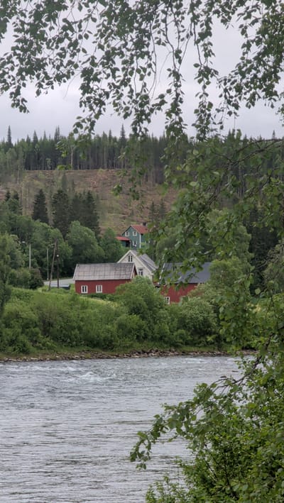 The image depicts a serene riverside landscape with several houses nestled amidst lush greenery, likely located in or near Trofors, Norway, a region known for its natural beauty and flowing rivers. In the foreground, a wide, turbulent river occupies the lower half of the frame, its surface rippled by the current. The riverbanks are lined with dense, green foliage.

Behind the river, a cluster of houses is visible on a gentle slope. The most prominent is a red house with a gray roof, featuring several windows. To its right, a lighter-colored house with a white exterior and a dark roof stands adjacent. Further up the slope, a two-story green house with white trim is situated, its upper floor featuring two visible windows. Behind these houses, a dense forest of tall, dark green coniferous trees stretches across the landscape, with a section of the hill behind the forest appearing to have been cleared, showing lighter earth and scattered tree stumps. The sky is overcast with a soft, diffused light. The scene is framed by the branches and leaves of trees in the foreground, adding a sense of depth and natural enclosure. There are no people visible in the image.