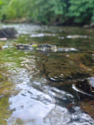A low-angle shot focuses on the rippling surface of a clear, shallow stream. The water is transparent enough to reveal the submerged rocks and gravel bottom. Sunlight reflects off the undulating water, creating bright highlights and casting distorted shadows. A dark, moss-covered rock occupies the lower right corner of the frame, partially submerged in the water. The background is blurred, but hints of lush green foliage suggest a wooded or natural environment. The overall impression is one of peaceful, natural beauty. The image appears to have been taken outdoors during daylight hours, likely on a clear or partly cloudy day, as indicated by the bright reflections on the water. The location is identified as Lügde, Germany. There is no visible text in the image.