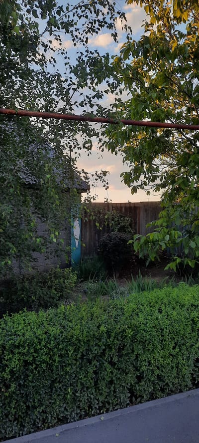 In a city district of Shakhty, Russia, an image captures a yard with a weathered concrete fence in the background, partially obscured by lush green foliage from trees and bushes. A section of a brick building with a slate roof is visible on the left. A bright teal and white painted abstract design adorns a portion of the fence. The sky above is a soft gradient of blue and pink hues, with scattered clouds, suggesting either dawn or dusk. A dark asphalt road runs along the bottom edge of the frame, bordered by a neatly trimmed green hedge.