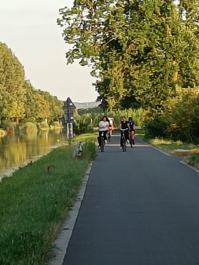 The image shows a paved path next to a body of water, likely a canal, in Haacht, Belgium. Several people are riding bicycles on the path, with lush green trees lining the canal and the path. The scene appears to be set in the late afternoon or early evening, with warm sunlight filtering through the trees. The water reflects the surrounding foliage and the sky, creating a serene and picturesque atmosphere.