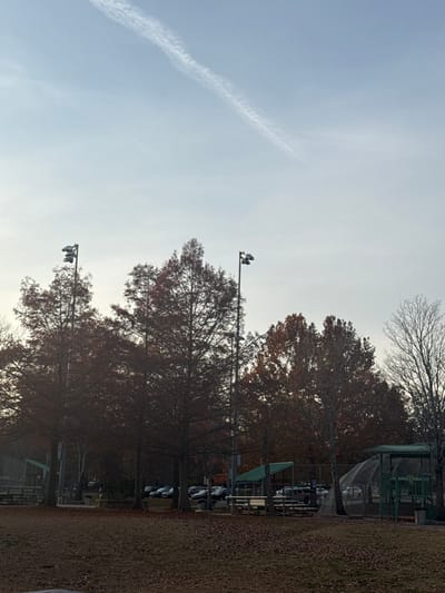The landscape features a light, cloudy sky with a contrail. In the foreground, tall trees with brown foliage line the horizon. Three tall poles with lights are interspersed among the trees. A grassy area extends to the lower edge of the image. In the background, there are small covered structures, possibly picnic shelters or seating areas.
