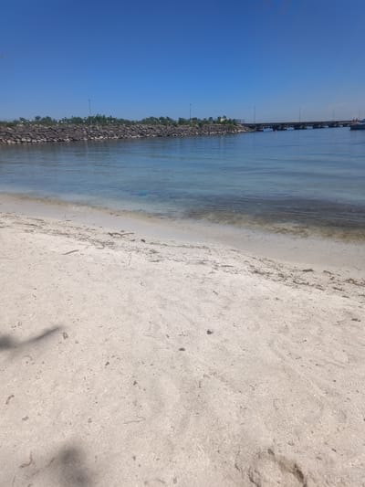 The image shows a sandy beach with calm, clear water meeting the shore. In the background, a rock jetty extends into the water, lined with vegetation and fencing. Beyond the jetty, a bridge crosses the water, with streetlights visible along its span. The sky is a clear, vibrant blue. The scene appears to be located in Oakville, Canada, likely a waterfront area with public access and recreational facilities.