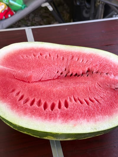A close-up, overhead shot shows a halved watermelon resting on a dark brown wooden surface, likely a picnic table. The watermelon, a vibrant pink with faint white streaks, is cut lengthwise, revealing a glistening flesh dotted with numerous small, dark seeds. The rind is a characteristic green and white striped pattern. In the blurred background, a camping chair and some green plastic bottles are visible, suggesting an outdoor setting. The scene is devoid of people and any discernible action or interaction, presenting a still life of a refreshing summer fruit. There is no indication of the city of Temirlanovka, Kazakhstan.