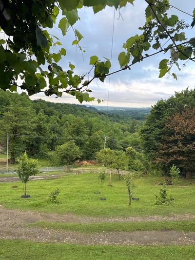 The image depicts a lush, green landscape dominated by dense forests stretching across rolling hills. In the foreground, a gravel path winds through a grassy area with several young trees. A white picket fence runs along the edge of the property, and in the distance, power lines are visible. The sky is overcast with scattered clouds. The location is identified as Akydra, Abkhazia, suggesting a rural or semi-rural setting with abundant natural vegetation. There are no people or animals visible in the image, and no discernable actions or interactions are taking place. The overall impression is one of tranquility and natural beauty, characteristic of a countryside setting.