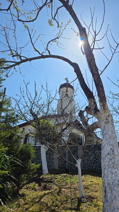 The image depicts a view from below, tilted upwards, capturing a church bell tower through bare tree branches against a bright blue sky with a sun flare. The foreground shows a tree with some branches painted white. A building with a stone wall facade is visible behind the tree. The scene is set outdoors, with grass and some greenery suggesting a yard or garden. Based on prior knowledge, the location is Elenovo, Bulgaria, given the church's architectural style and the overall environment depicted. No people are visible in the image.