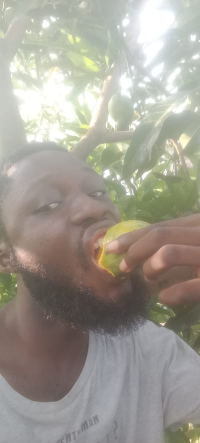 A man with dark skin and a beard is biting into a green and yellow fruit. He is outdoors and appears to be under a tree with visible leaves and another green fruit in the background. The location is in Bende, Nigeria. The man is wearing a white t-shirt.
