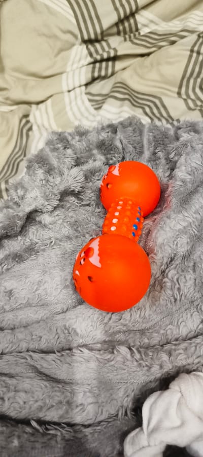 An orange dog toy, shaped like a dumbbell with raised blue and white polka dots in the middle, rests on a textured gray blanket. The blanket is draped over a bed covered with a tan and white striped comforter. The toy is positioned diagonally across the gray blanket, with its two spherical ends facing upwards and downwards, and the textured middle section visible. The image is an indoor shot, with soft lighting and no people present. There is no information about its location in Liubashivka, Ukraine.