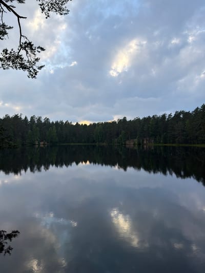 The image depicts a reflection of a cloudy sky and a dense forest in the still water of a lake. The scene is oriented vertically, with the sky occupying the top portion of the image and the water reflection filling the bottom. The sky is a mix of light blue and grey clouds, with patches of sunlight breaking through, creating brighter areas. The forest reflection is dark and appears as a solid wall of green, with the individual trees indistinguishable. The water's surface is calm, allowing for a clear, albeit inverted, reflection.
In the upper left corner, the silhouette of pine tree branches is visible against the sky. The time of day appears to be late afternoon or early evening, given the soft light and the cloud cover. The weather seems to be overcast with intermittent sunshine. There are no people or discernible objects in the scene, only the natural elements of sky, forest, and water. The overall mood is serene and contemplative, highlighting the beauty of nature and the phenomenon of reflection. The location is identified as Orekhovo, Russia. There is no visible text in the image.