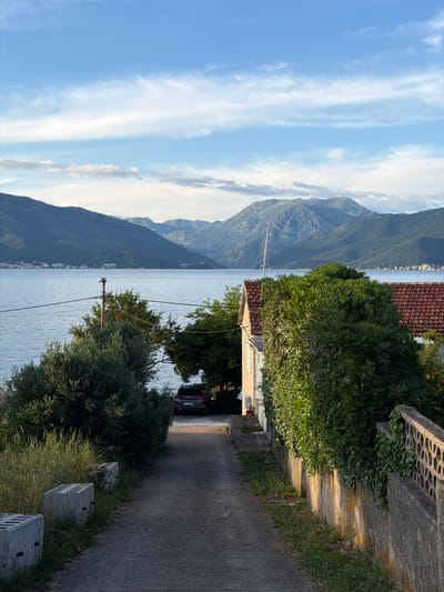 The image shows a narrow asphalt road in Krašići, Montenegro, running alongside a concrete wall with sporadic grass and weeds along its base. On the opposite side of the road is a dense arrangement of bushes and foliage, partially obscuring a building with a terracotta tile roof. Through the foliage and the structure, a glimpse of the Bay of Kotor is visible. Mountains rise in the background. A single car is parked beneath the trees. The sky overhead is blue, with streaks of white clouds. Utility poles and lines can be seen running along the water.