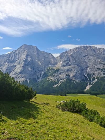 The image depicts a mountainous landscape with a clear blue sky and scattered white clouds. In the foreground, a lush green meadow slopes upwards, dotted with small yellow wildflowers and patches of low-lying evergreen bushes. A line of dark green coniferous trees runs along the left edge of the meadow.
In the mid-ground, a dense forest of coniferous trees covers a gentler slope, and beyond that, a light green valley unfolds. A winding white path is visible in the valley.
The background is dominated by towering, rugged mountains. The mountains are grey and rocky, with visible crevices and patches of snow. The slopes of the mountains are steep and imposing.
The image appears to be taken from a slightly elevated position, looking across the meadow towards the mountains. The lighting suggests it is daytime, likely mid-morning or afternoon, with the sun casting shadows on the meadow. The overall scene evokes a sense of natural beauty and tranquility in a mountainous region. This landscape is consistent with the area surrounding Mieming, Austria, known for its alpine scenery.