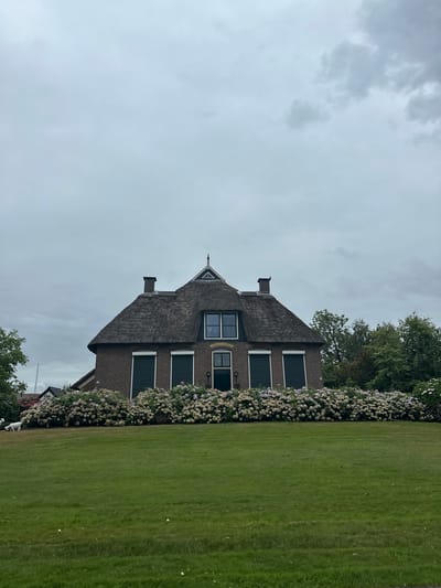 A Dutch farmhouse with a thatched roof is centered in the frame, under a cloudy sky. The house is constructed of red brick and has multiple windows, some with dark green shutters. A cluster of hydrangeas in shades of pink and white blooms in front of the house. To the left of the house, two white goats are grazing on the lush green lawn. The scene is located in the village of Giethoorn, Netherlands, known for its canals and lack of roads.