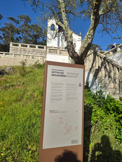 The image shows a sign in Esposende, Portugal, near a stairway. The sign, titled "SETOR [E] SECTOR [E] ESCADÓRIO STAIRWAY," provides information in Portuguese and English. A map on the sign depicts the sector's general layout. The background includes green grass, trees, a white building, and a blue sky. A person is visible at the top of the stairway.