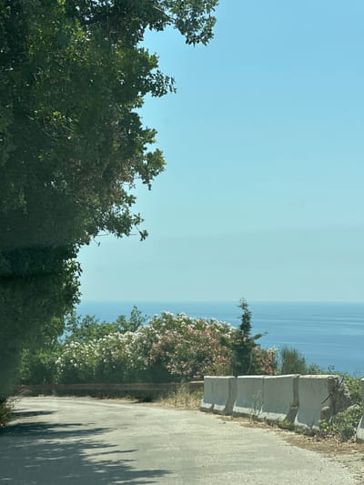 The image depicts a scenic coastal road in Rijeka Reževići, Montenegro. On the left, lush green trees overhang a paved road, casting shadows. The road curves towards the right, leading to a view of the Adriatic Sea. Along the right side of the road, concrete barriers separate the roadway from a steep drop. Beyond the barriers, flowering bushes with white and pink blooms are visible, along with other greenery. The sea stretches to the horizon under a clear, pale blue sky. The scene is captured on a bright, sunny day.